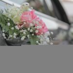 Trouwstoeten en overlast