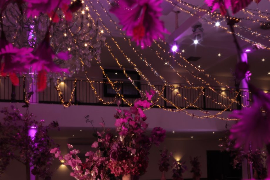 Bridgerton Geboortefeest