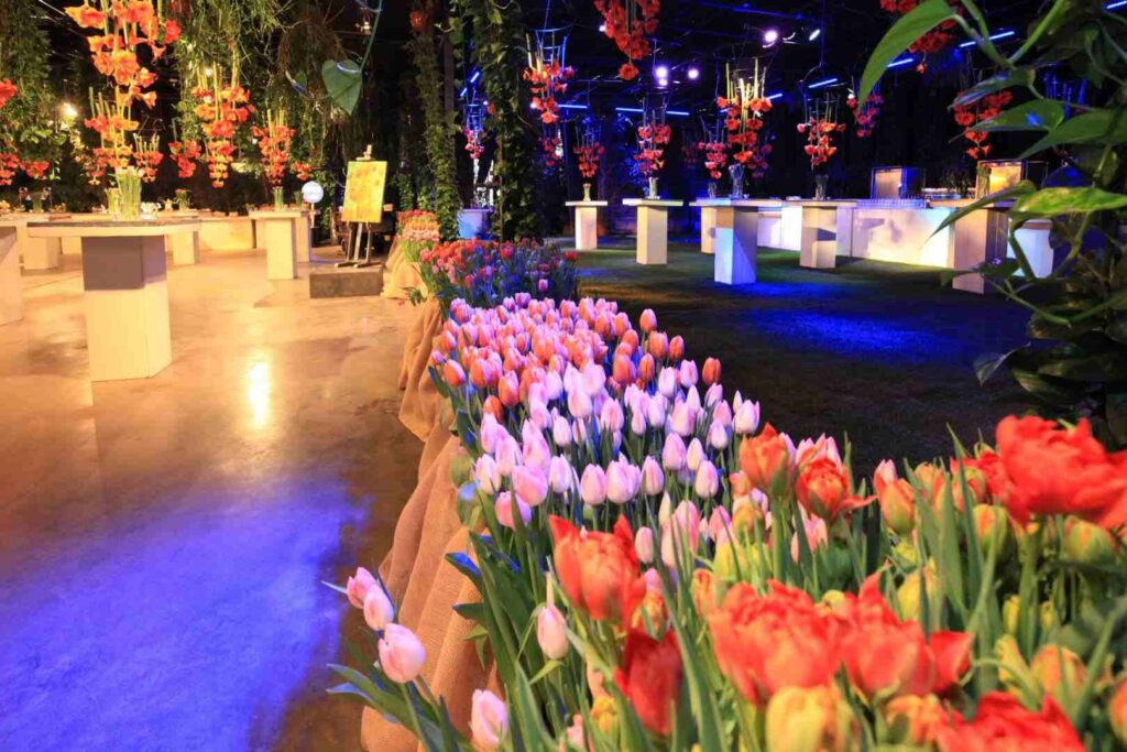 Hollandse Glorie bedrijfsfeest