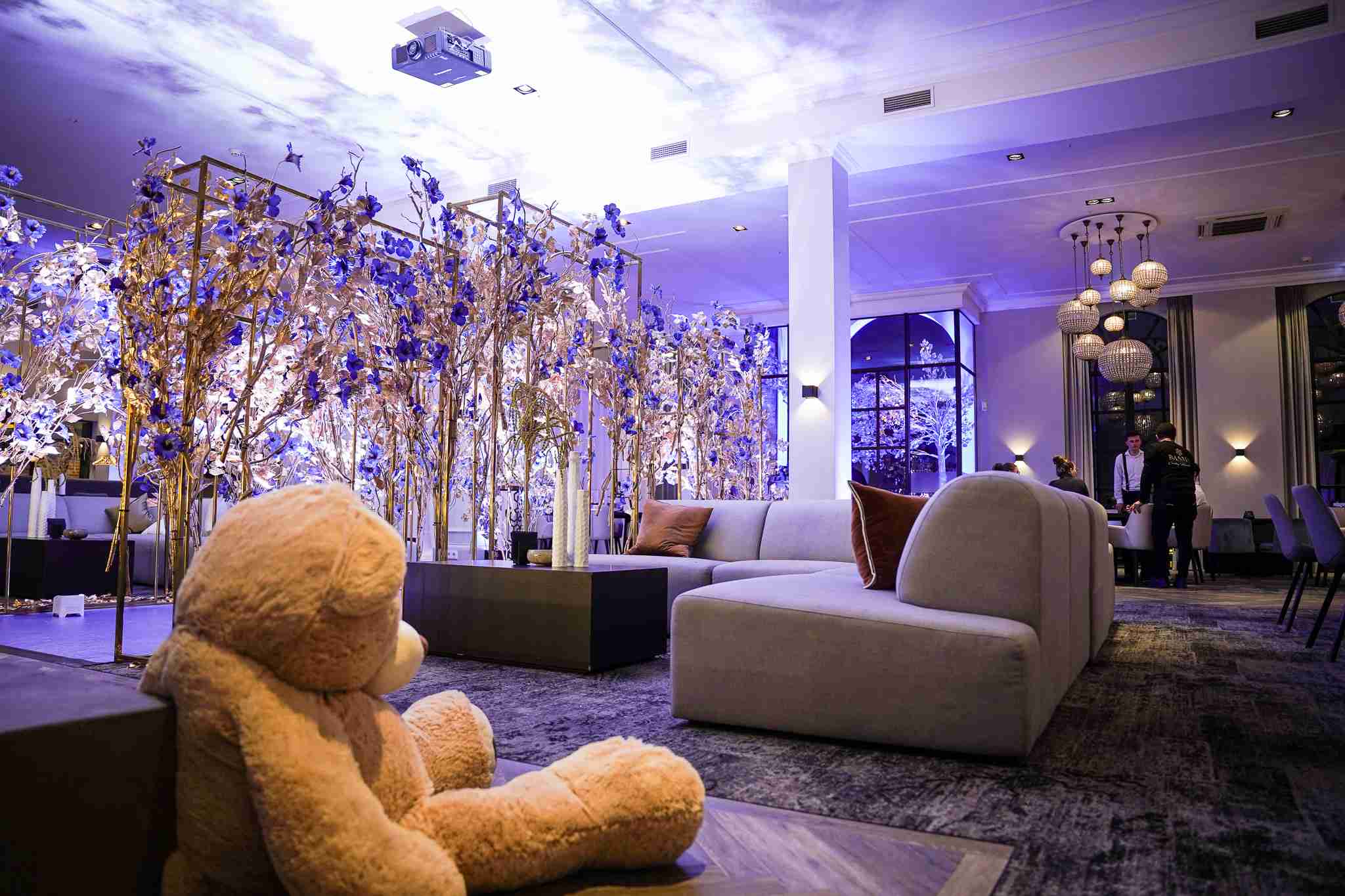 Koningsblauw Gender Reveal party