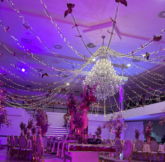 Sparkle Butterfly LED Chandelier